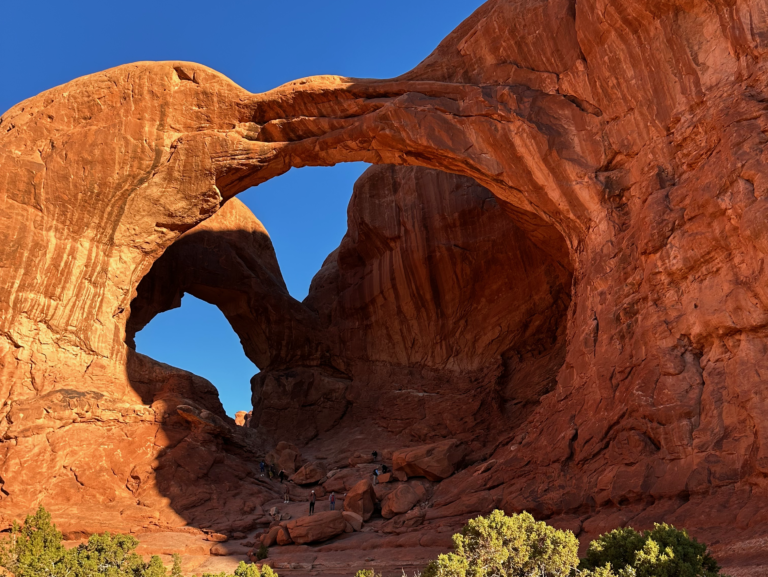 Read more about the article ARCHES