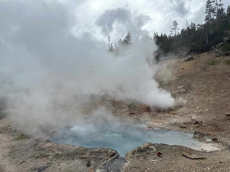 Read more about the article YELLOWSTONE