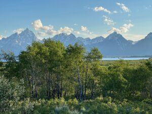 The Grand Tetons are actually part of the Rocky Mountain Range.