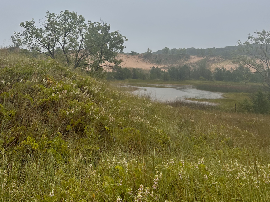 Read more about the article INDIANA DUNES