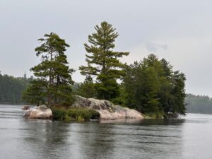 Voyaguers has a diverse array of wildlife both large and small. Moose, black bears, gray wolves, as well as aquatic animals such as beavers, otters, and various fish like walleye and pike life here. A variety of migratory birds fly through annually.