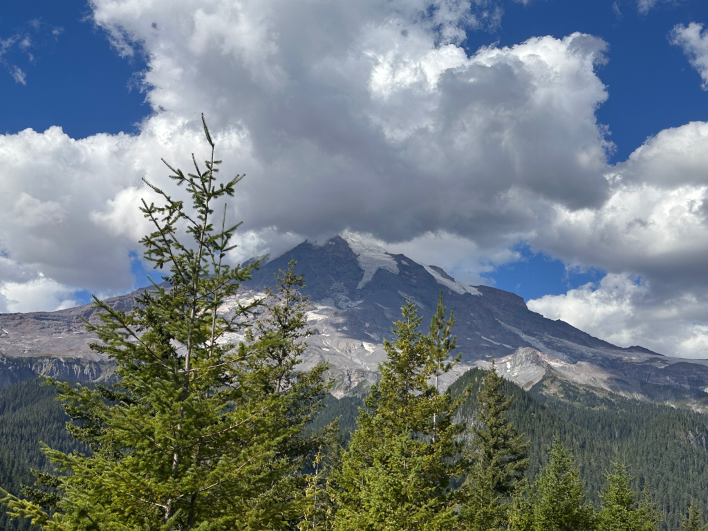 Read more about the article MOUNT RAINIER