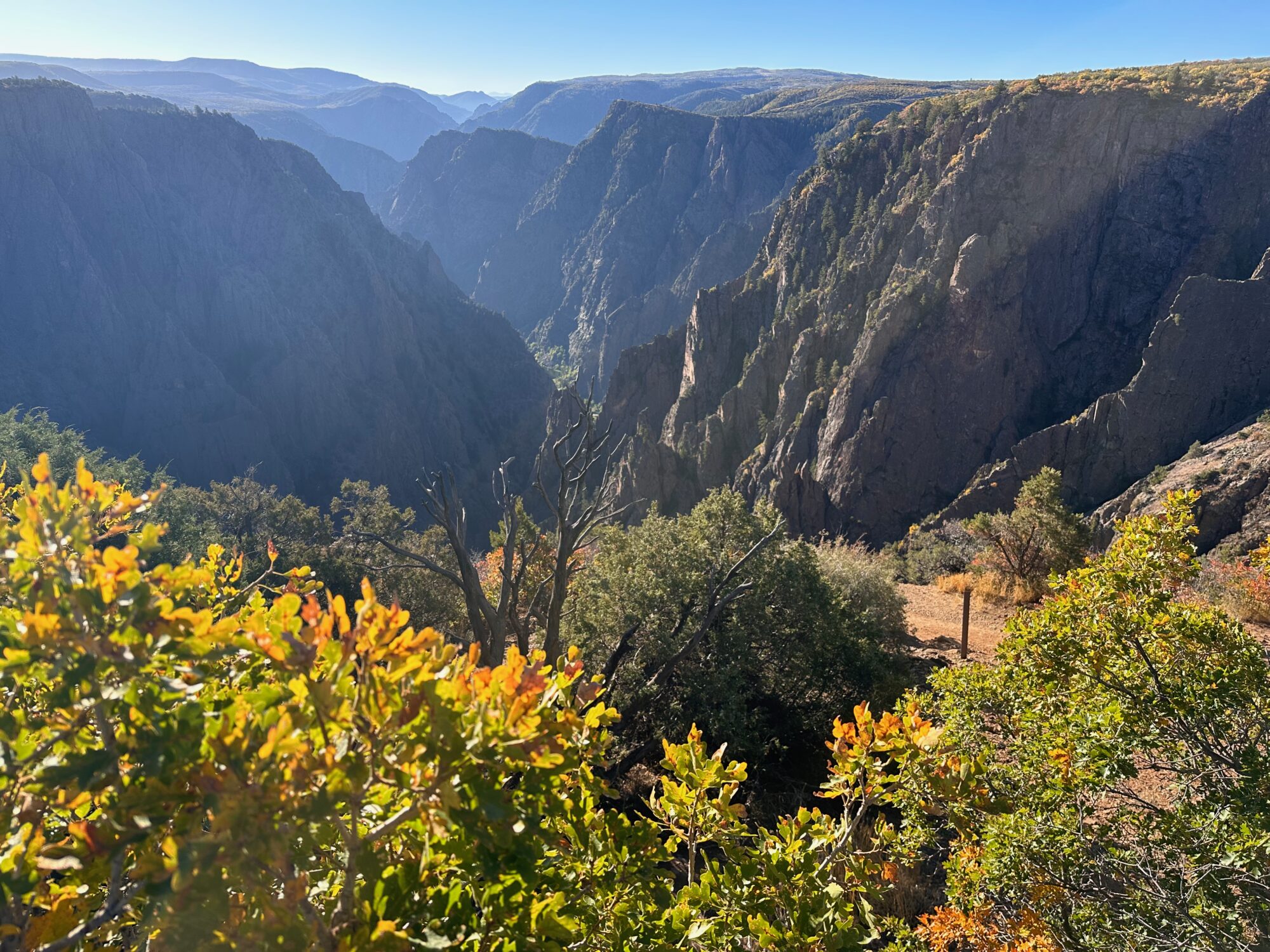 The expansive view from Tomichi Overlook with summer foliage and deep canyons is truly captivating.