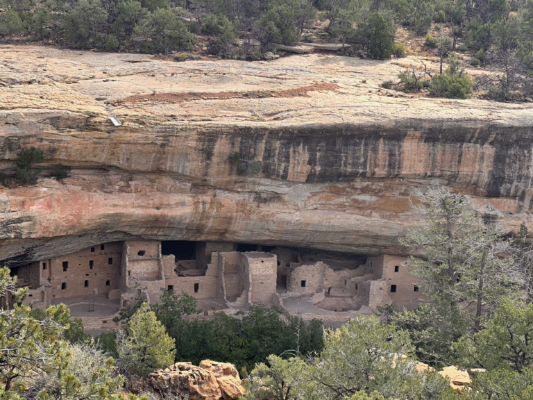 Read more about the article MESA VERDE