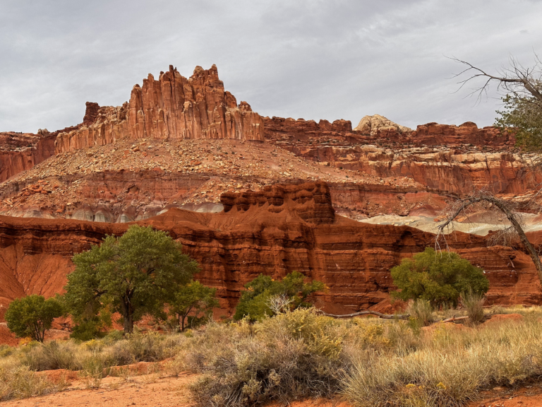 Read more about the article CAPITOL REEF