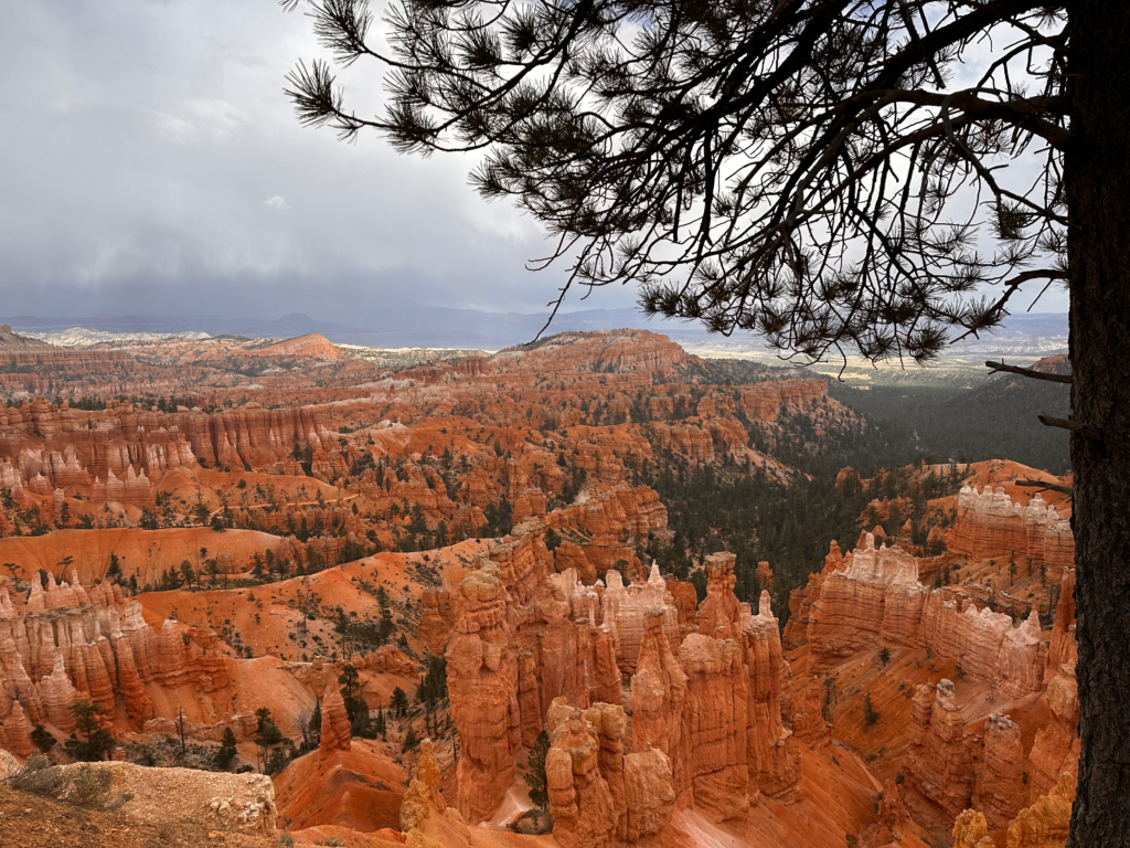 Read more about the article BRYCE CANYON