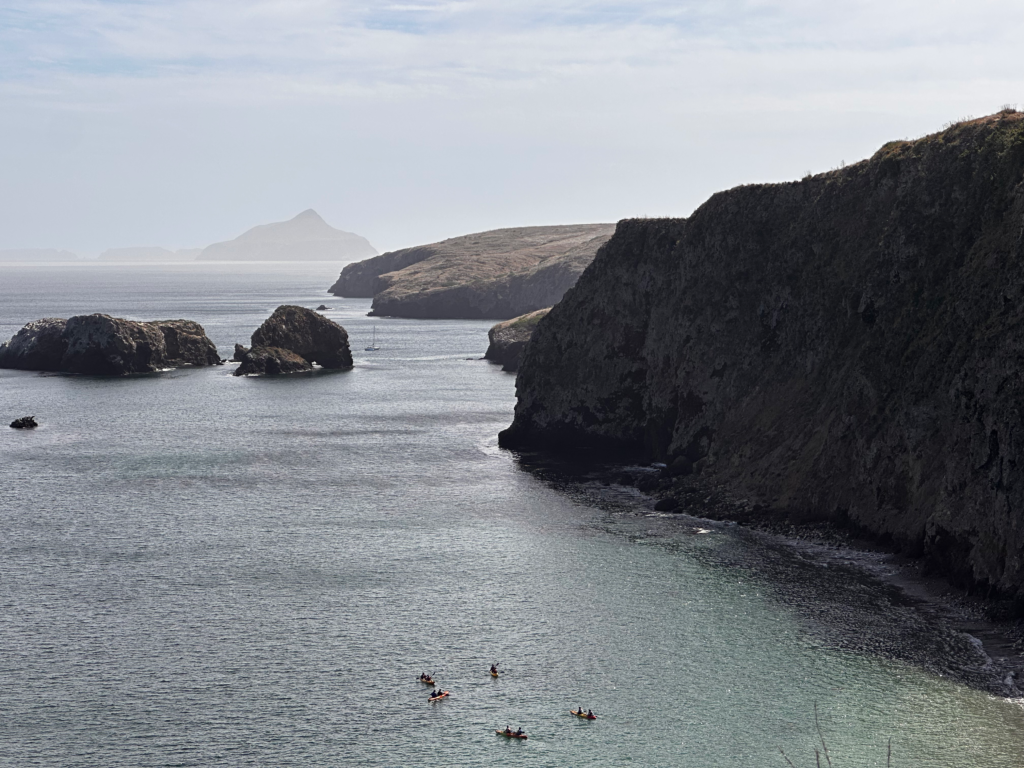 Read more about the article CHANNEL ISLANDS