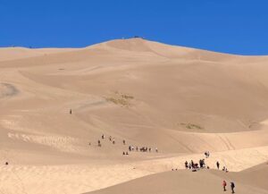 I watched the lines of people of all ages trek up the dunes to enjoy the ride down. Word to the wise: if going down hill on a sand sled - go feet first.
