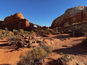 Currently there are over 2,000 arches in the park. Unfortunately the geology influenced by wind, water and freeze-thaw cycles lead to the inevitable collapse of these sandstone arches.