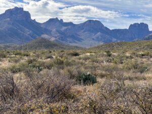 Big Bend is 801,163 acres of protected rocky Chisos Mountains, a portion of the Chihuahuan Desert ecosystem and the Rio Grande River at the southern border of Mexico. Geologist marvel at the fossils discovered - remains of ancient reptiles, fish, mollucks, giant dinosaurs and alligators.