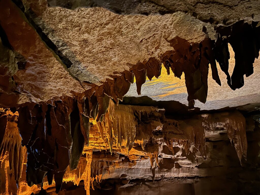 Read more about the article MAMMOTH CAVE