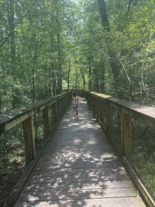 A sturdy boardwalk provides access to view wildlife and scenery. Believe me, trudging through this swamp would be a challenge not to mention the risk of a venomous snake encounter.