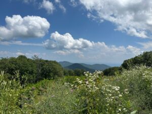 The green of trees, shrubs and plants with distant mountains against the blue sky is enchanting.