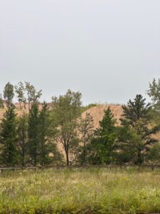 The Indiana Dunes are a critical stopover for migrating birds and a home to over 1,100 plant species, including forests that rise from the sand.