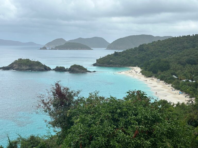 Read more about the article VIRGIN ISLANDS