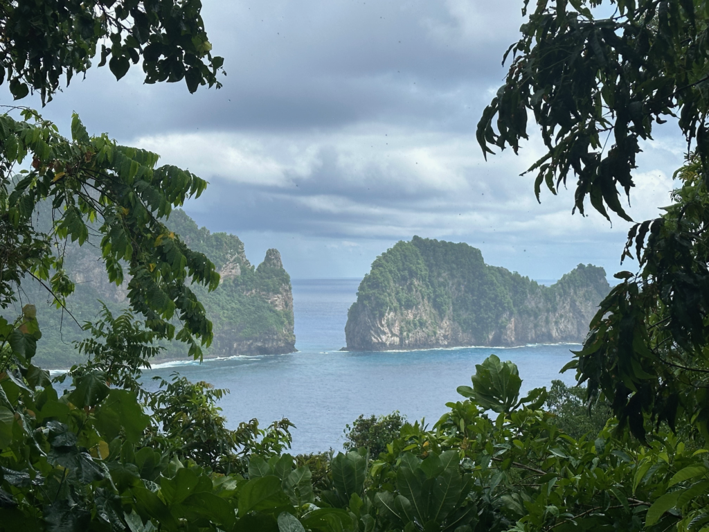 Read more about the article AMERICAN SAMOA