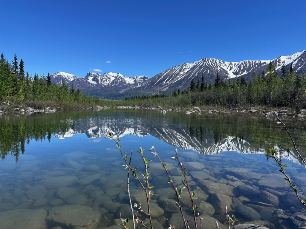 Read more about the article WRANGELL-ST. ELIAS