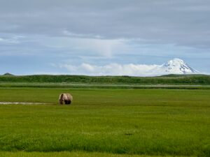 Katmai National Park features numerous mountains. The park in located within the Aleutian Mountain range and has fifteen active volcanoes,.