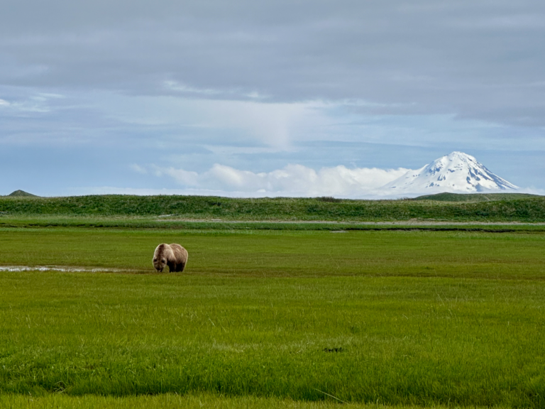 Read more about the article KATMAI