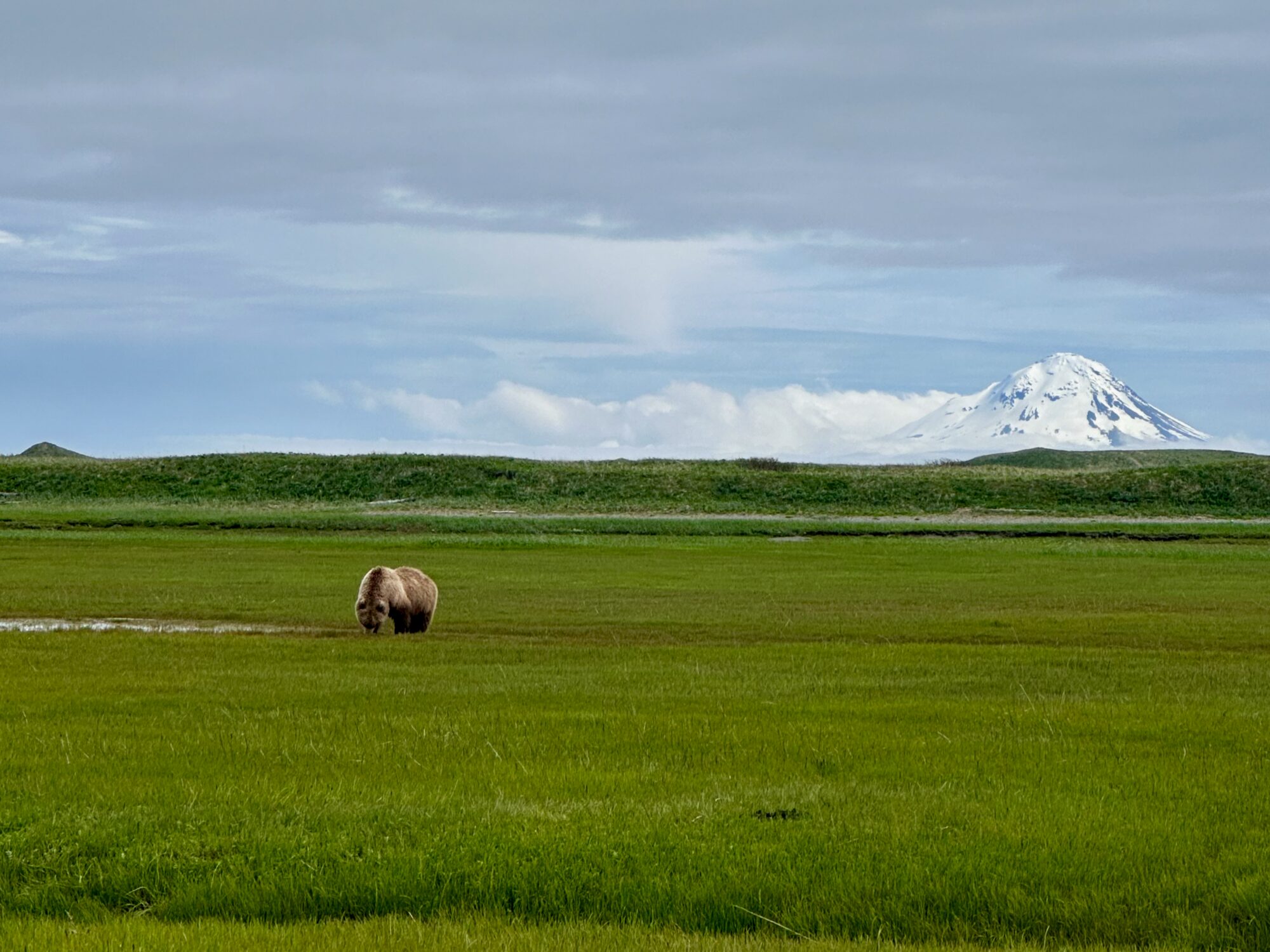 Katmai National Park features numerous mountains. The park in located within the Aleutian Mountain range and has fifteen active volcanoes,.