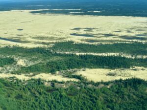 The view of dunes between boreal forest was spectacular.