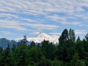 Breathtaking even at a distance, Mt Denali at 20310 feet is the highest peak on the continent.